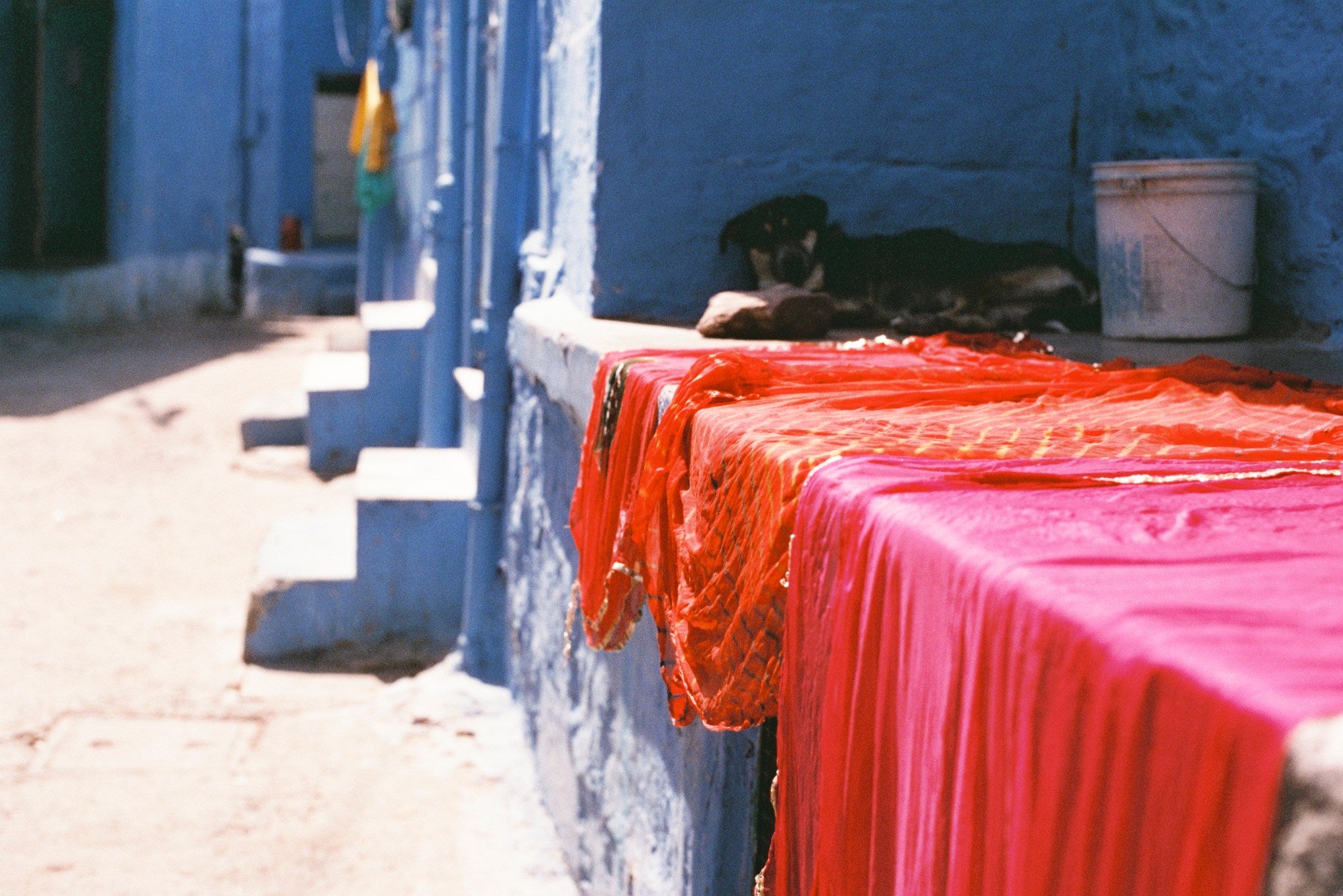 Photograph shot on Cinestill 400D