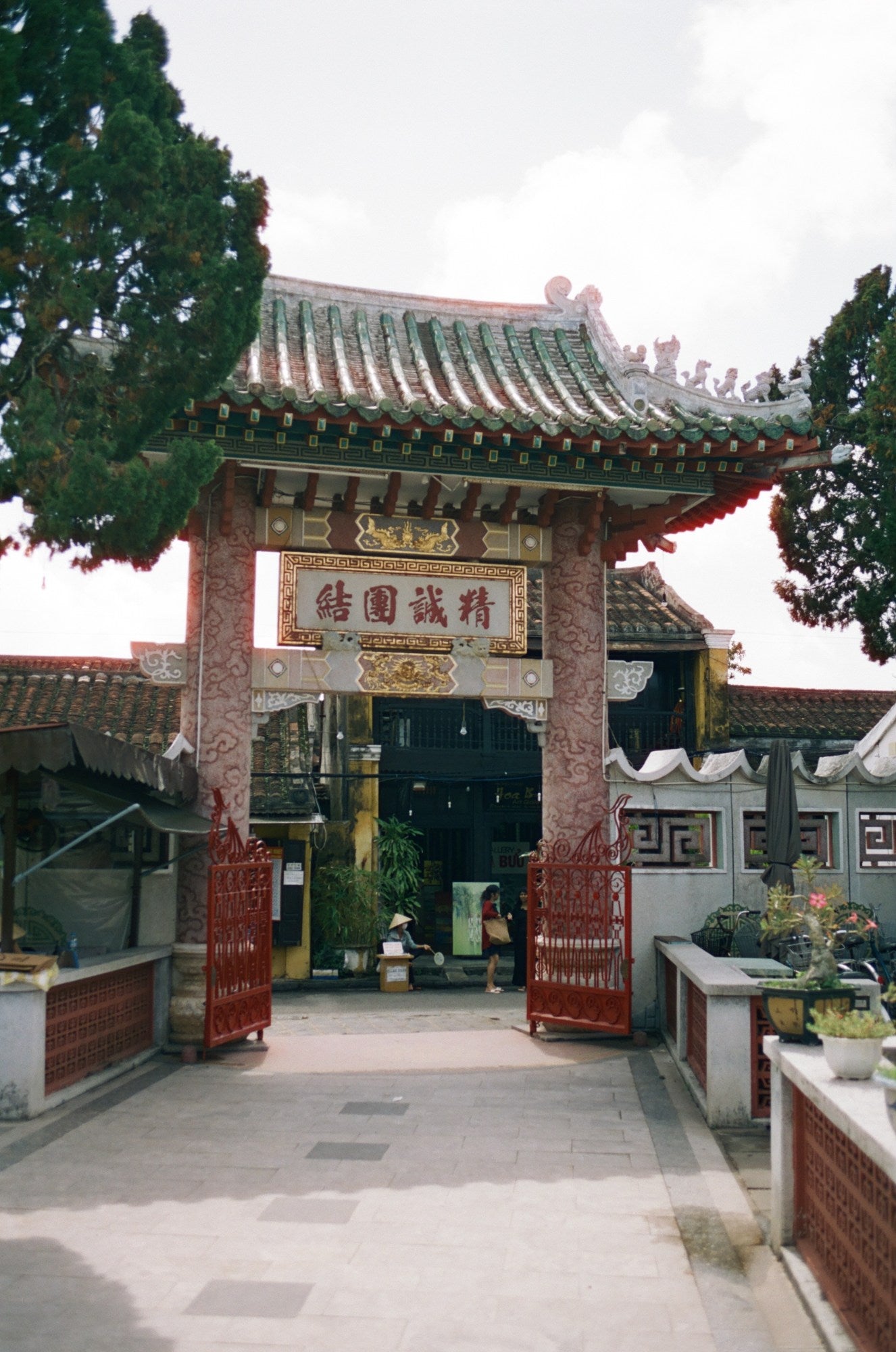 Photograph shot on Cinestill 50D