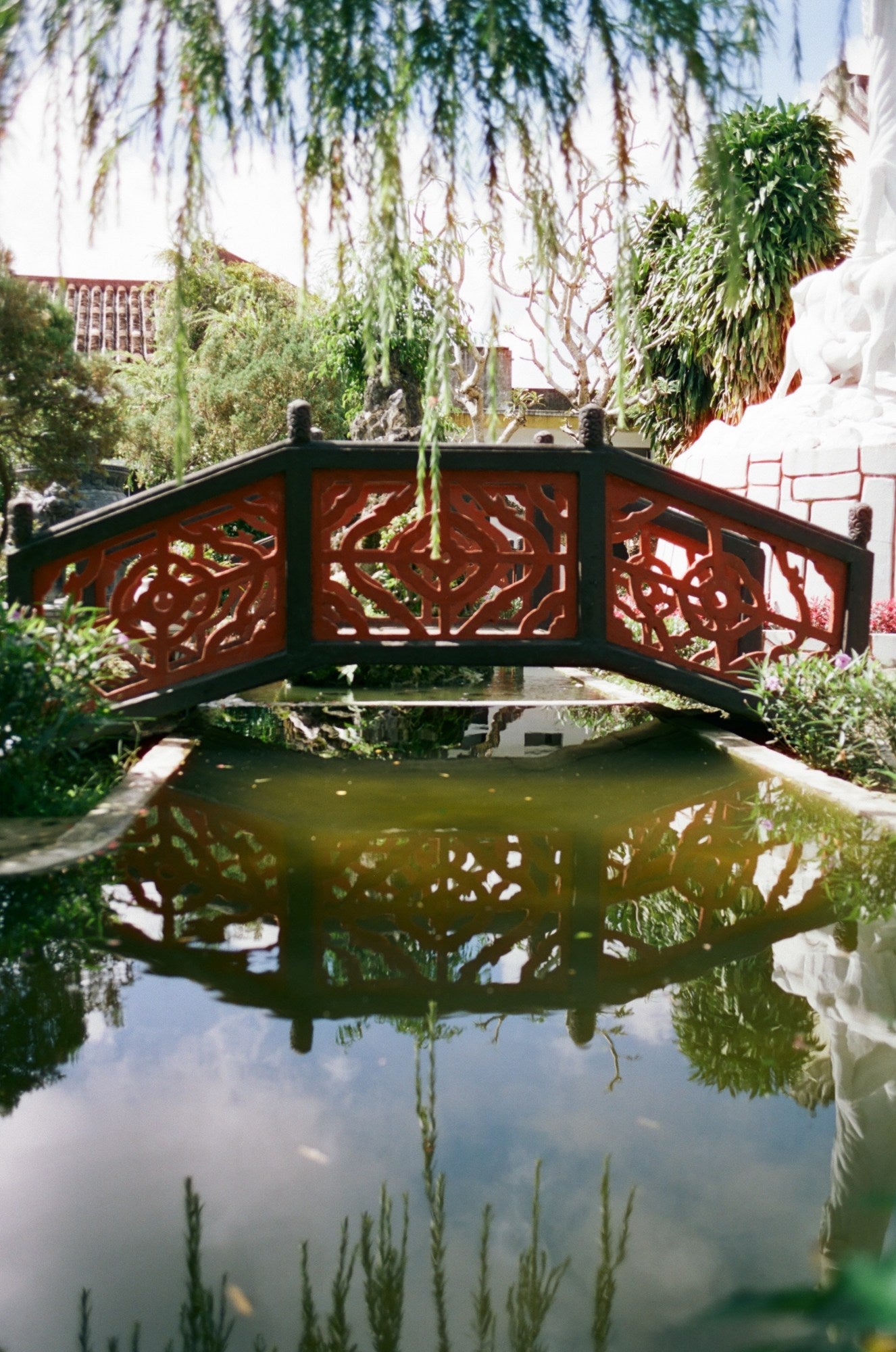 Photograph shot on Cinestill 50D