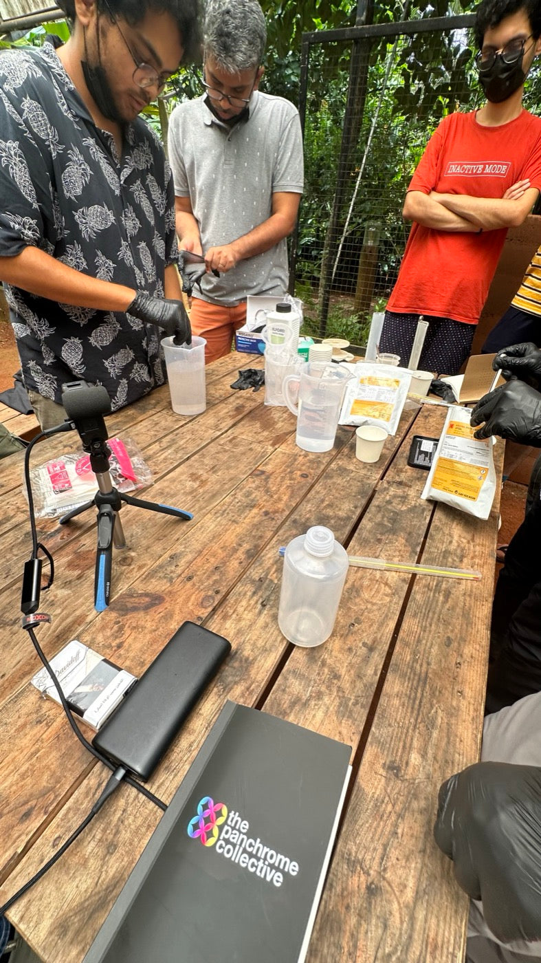 Collective gathering photograph 3