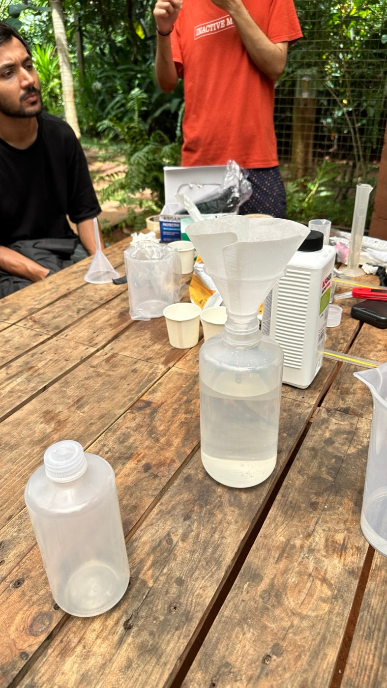 Collective gathering photograph 5