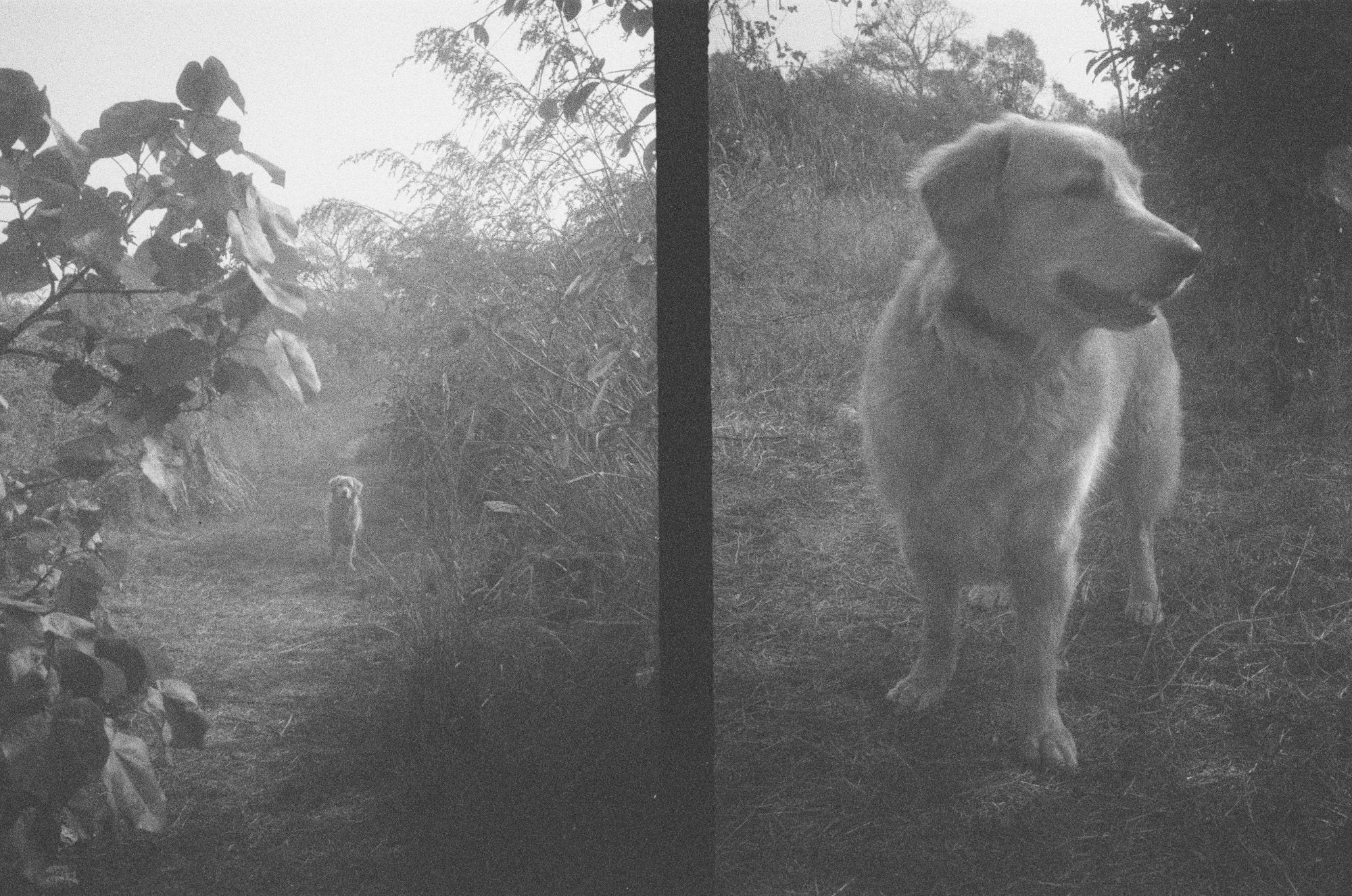 A morning on film
