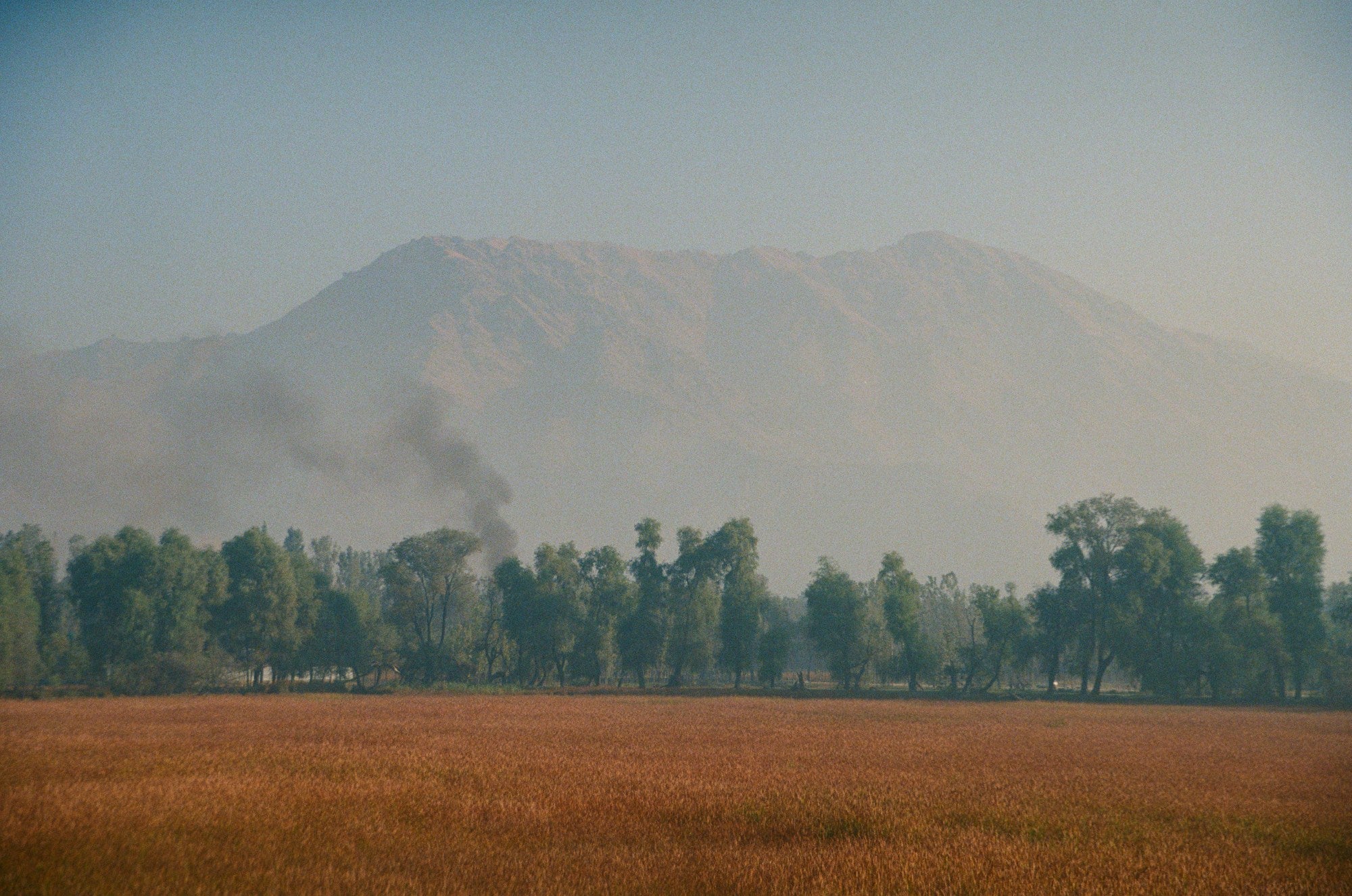 Photograph shot on Fujifilm 400