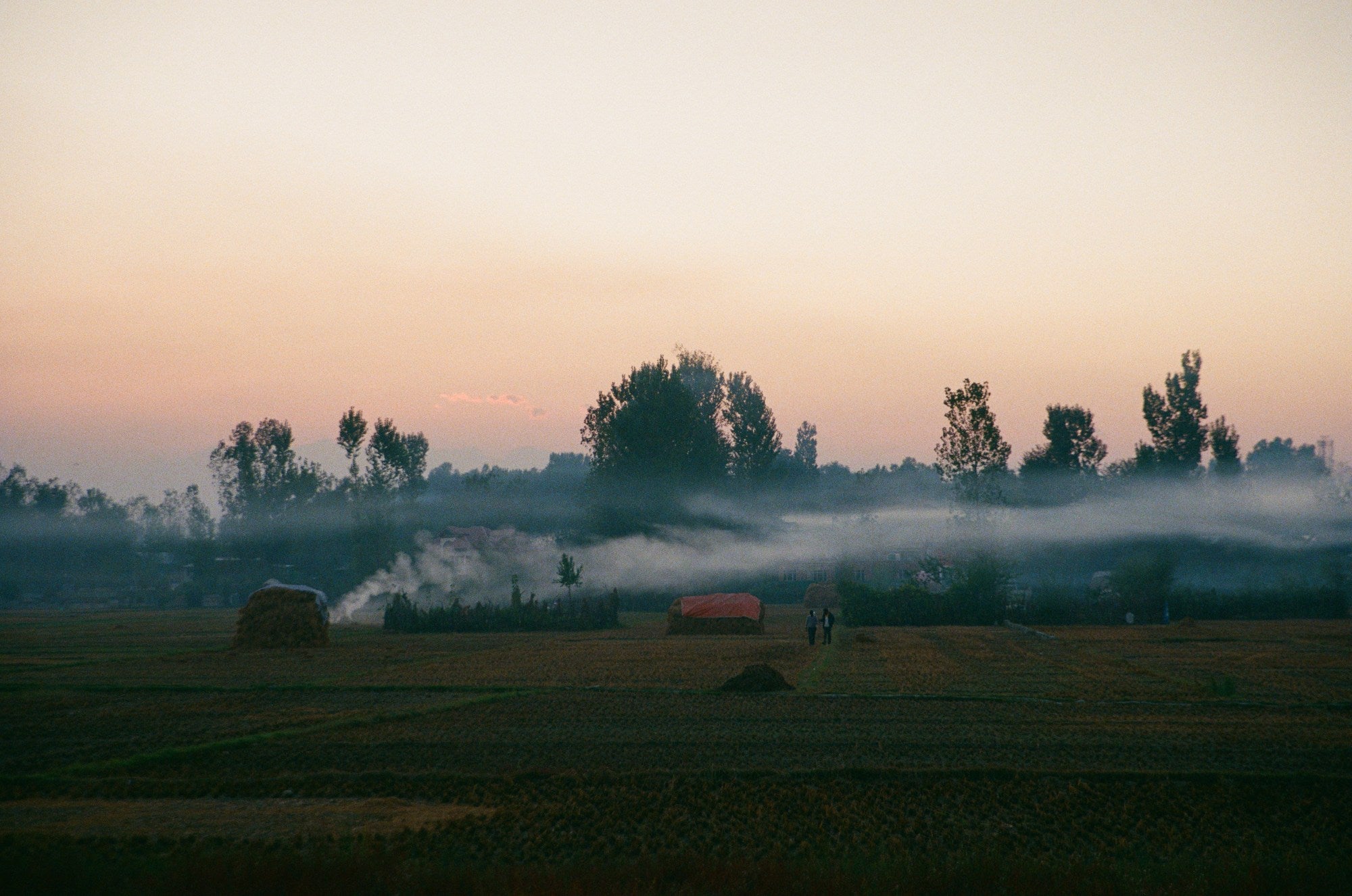 Photograph shot on Fujifilm 400