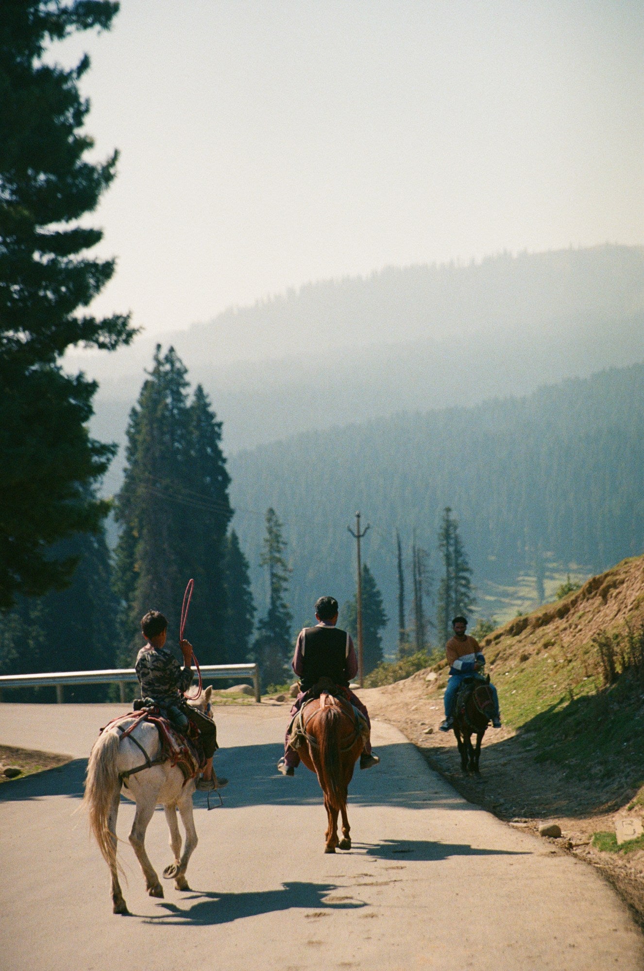 Photograph shot on Fujifilm 400