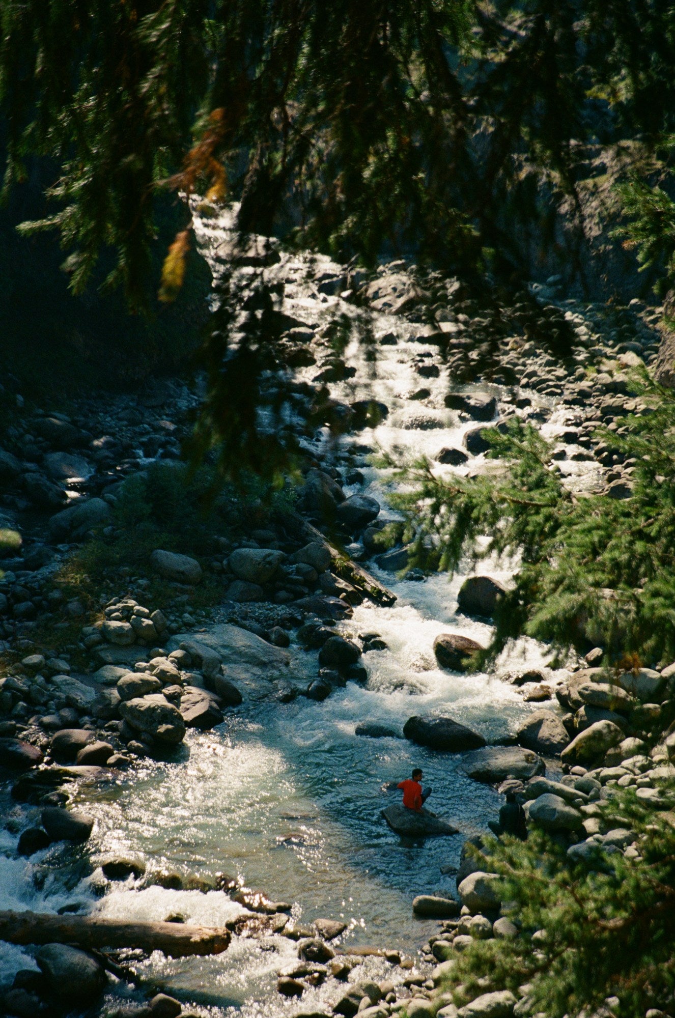 Photograph shot on Fujifilm 400