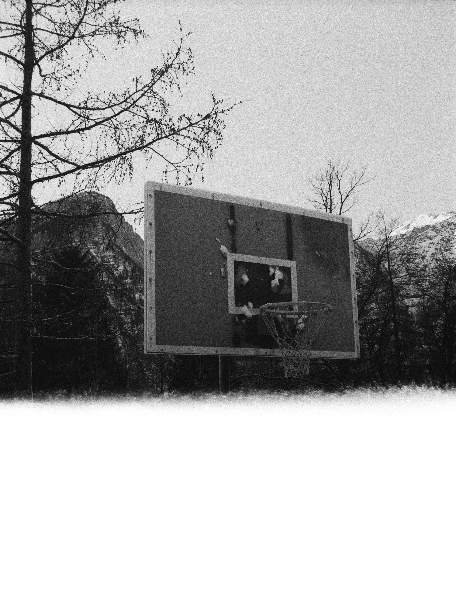 Photograph shot on Ilford HP5