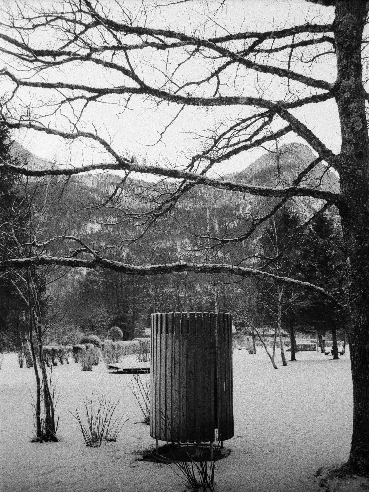 Photograph shot on Ilford HP5