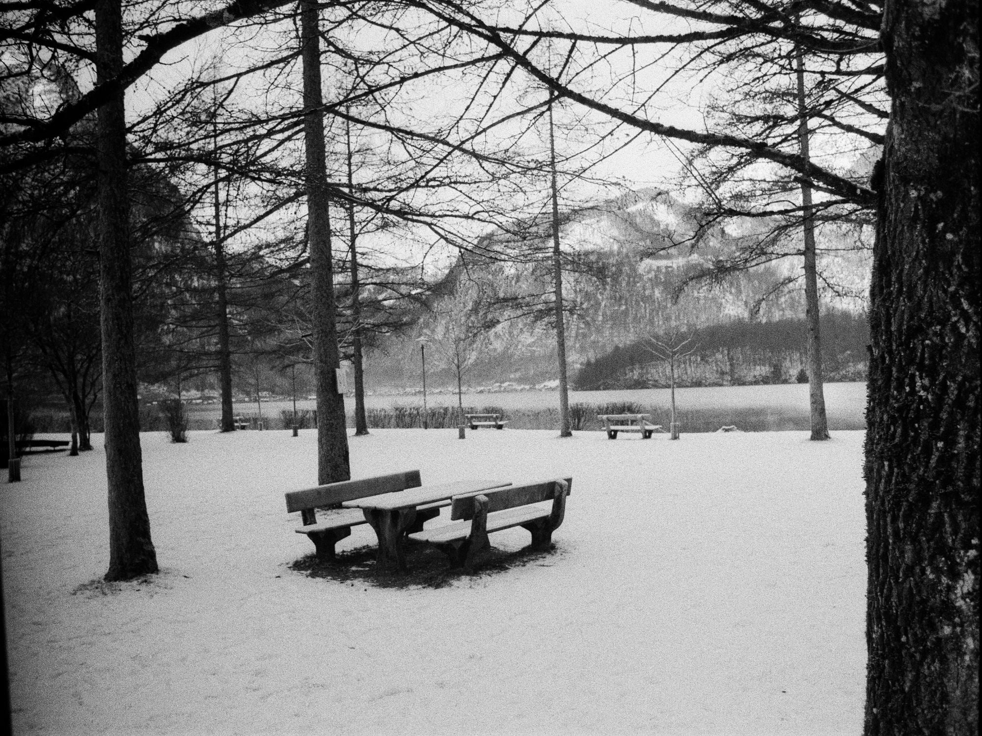 Photograph shot on Ilford HP5