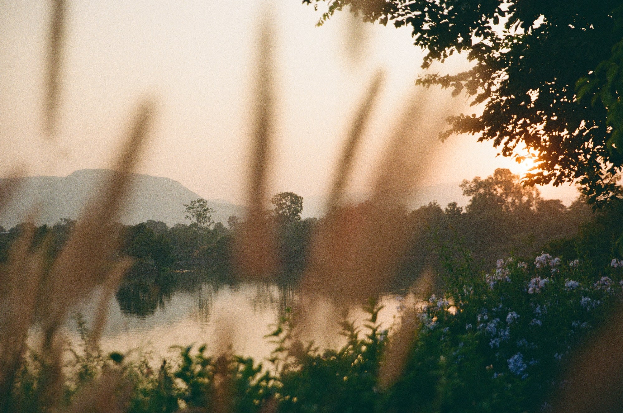 Photograph shot on Kodak ColorPlus 200