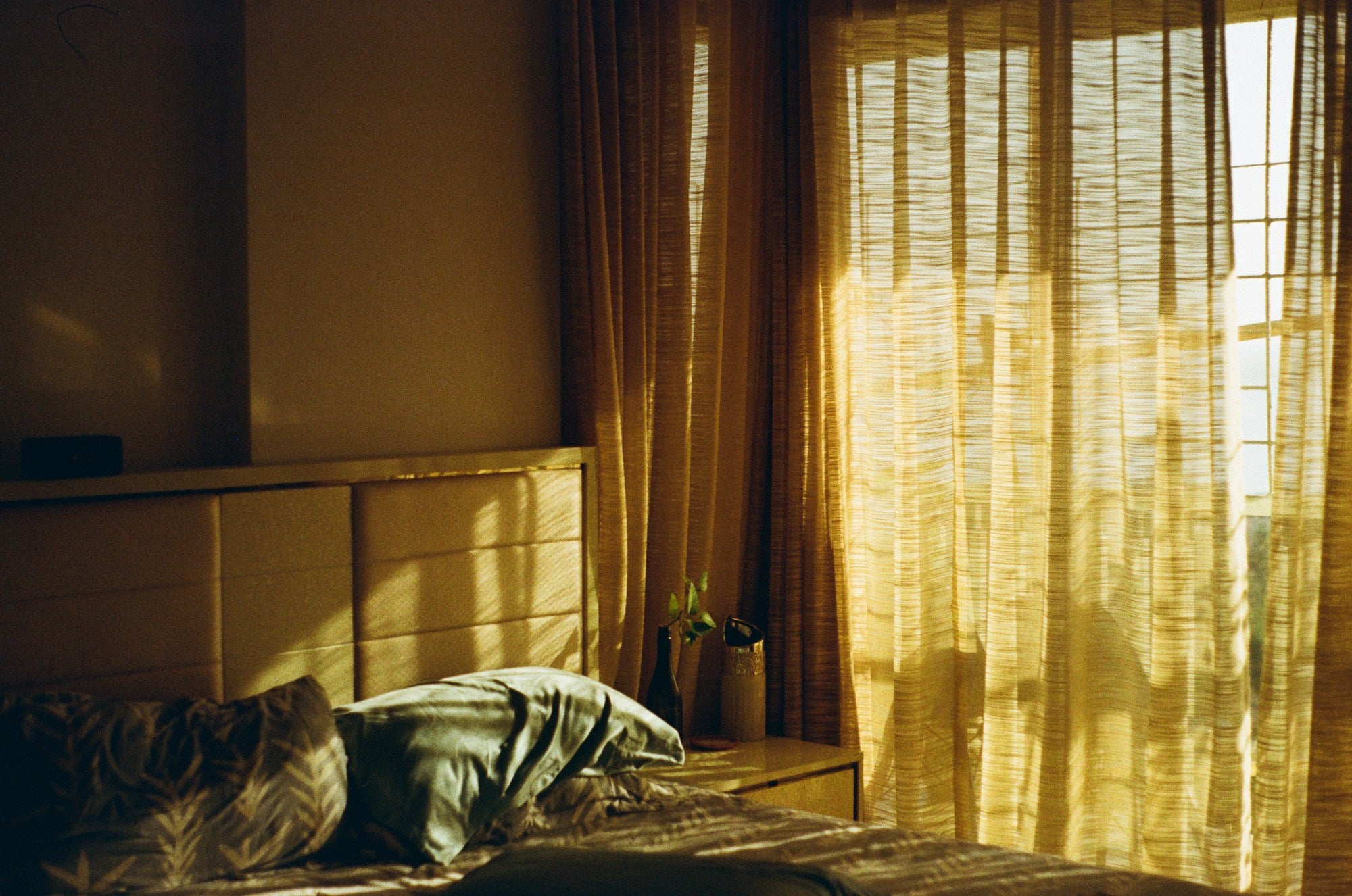 Photograph shot on Kodak ColorPlus 200