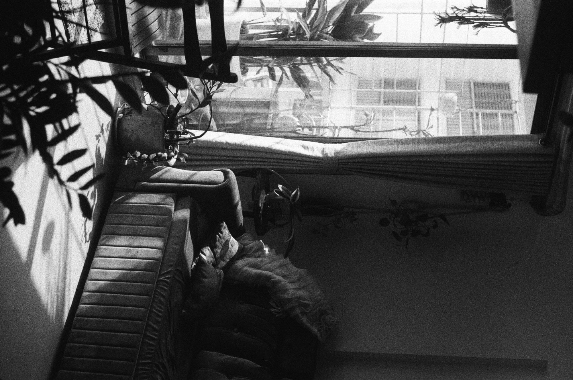 Photograph shot on TPP Double X