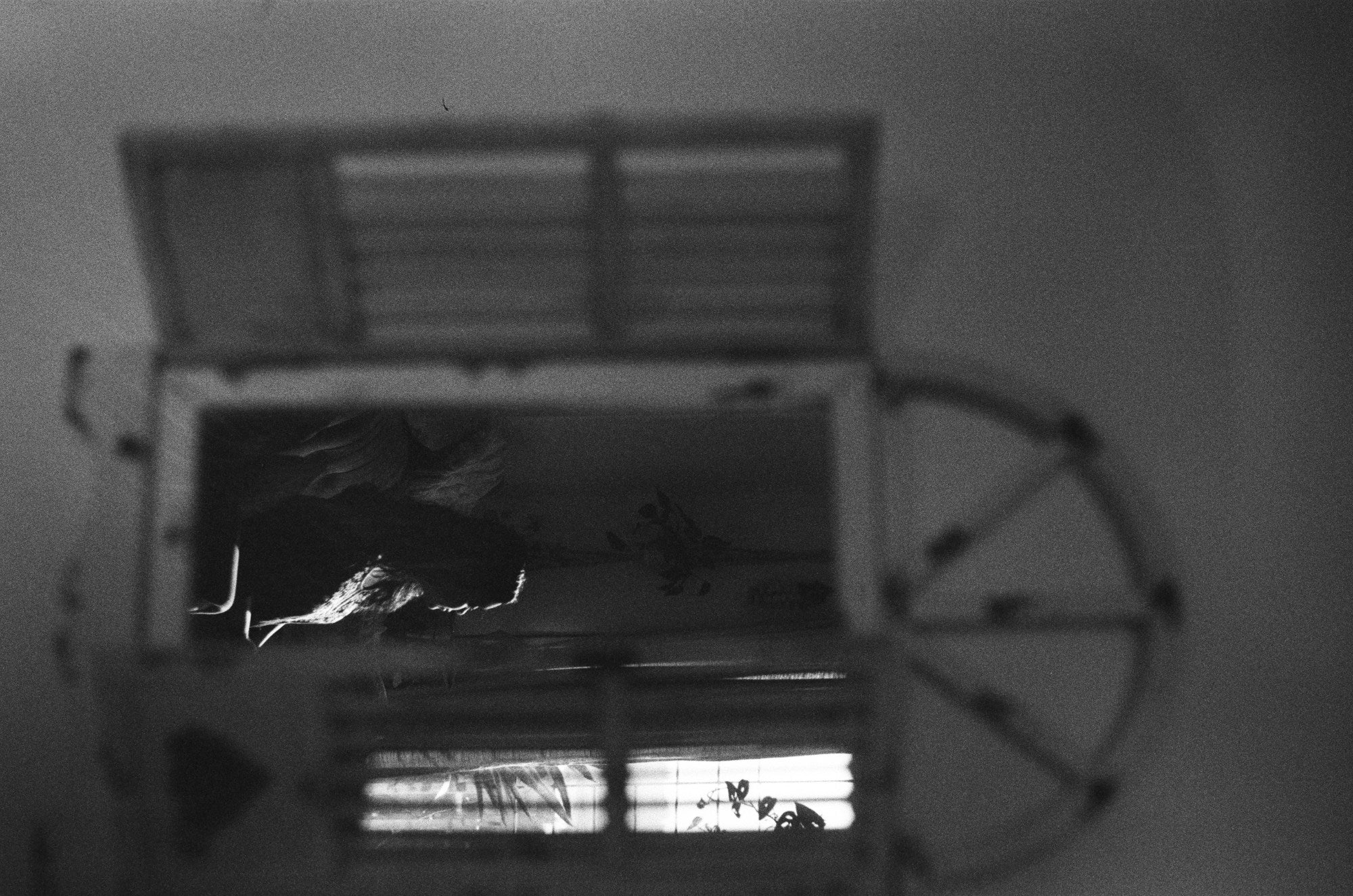Photograph shot on TPP Double X