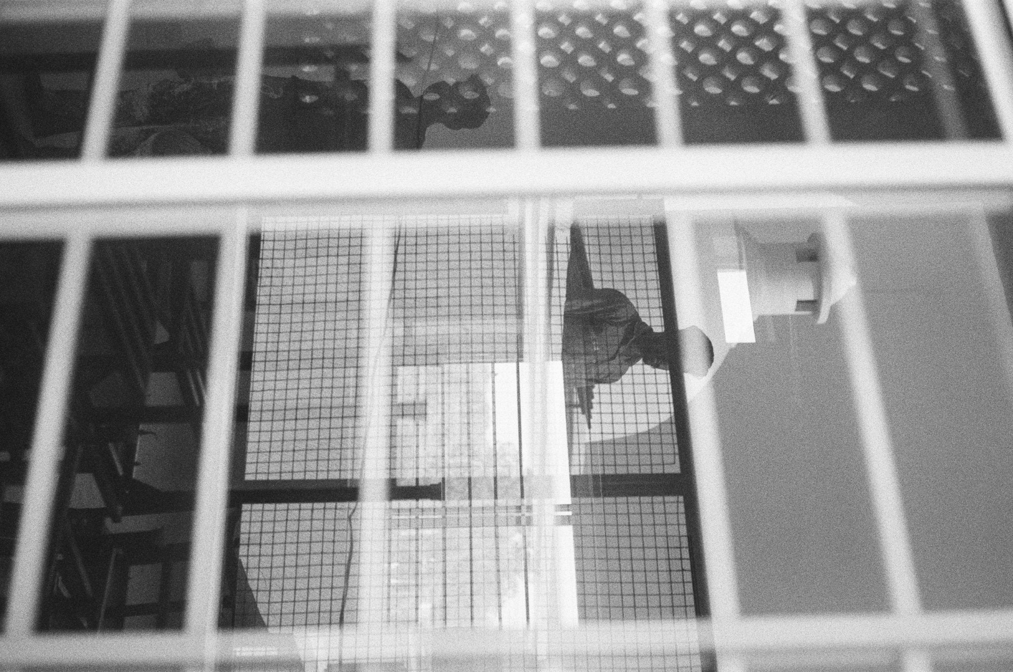 Photograph shot on TPP Double X