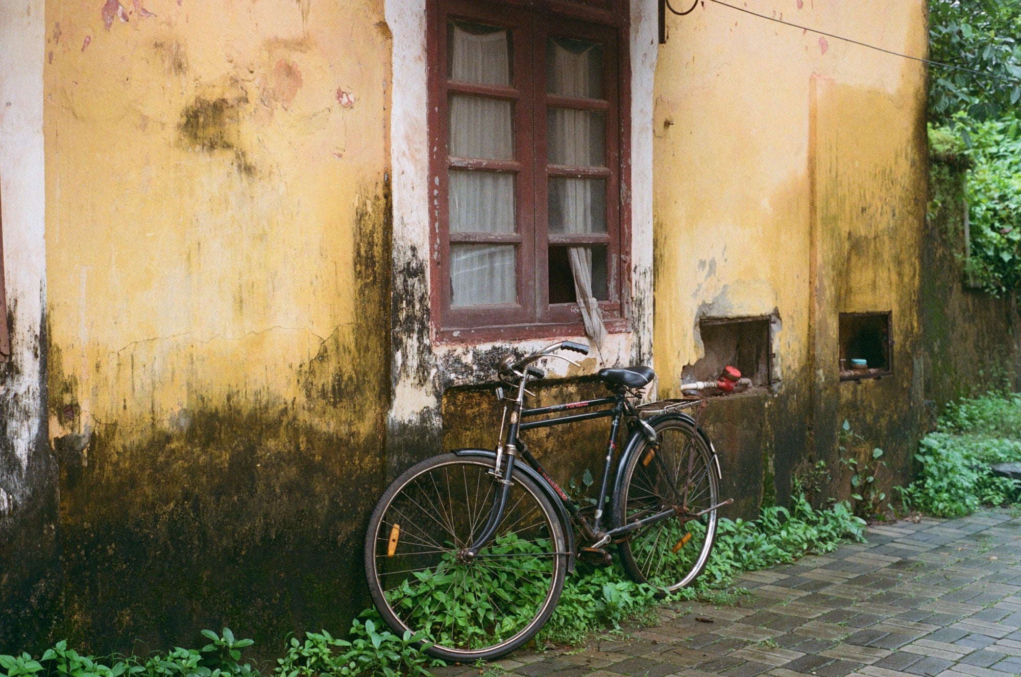 Photograph shot on Kodak Portra 400
