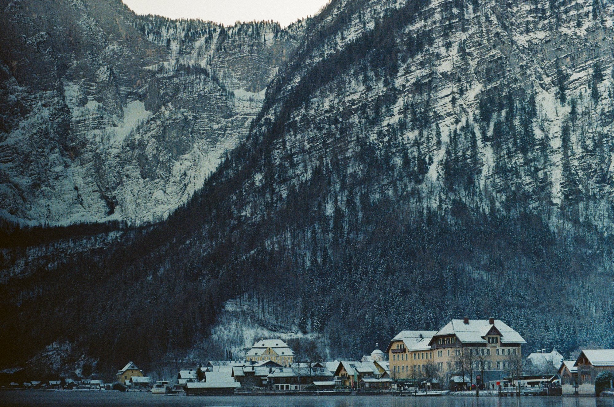 Photograph shot on Kodak Ultramax 400