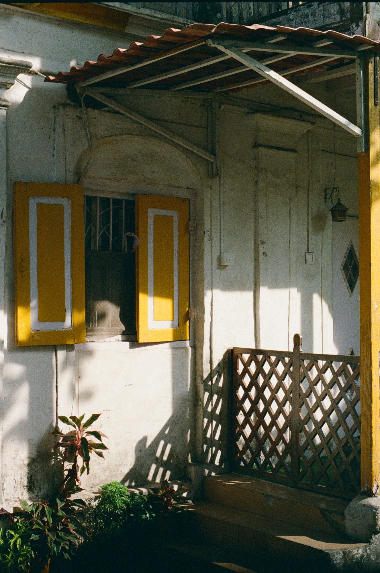 Photograph shot on Kodak Ultramax 400