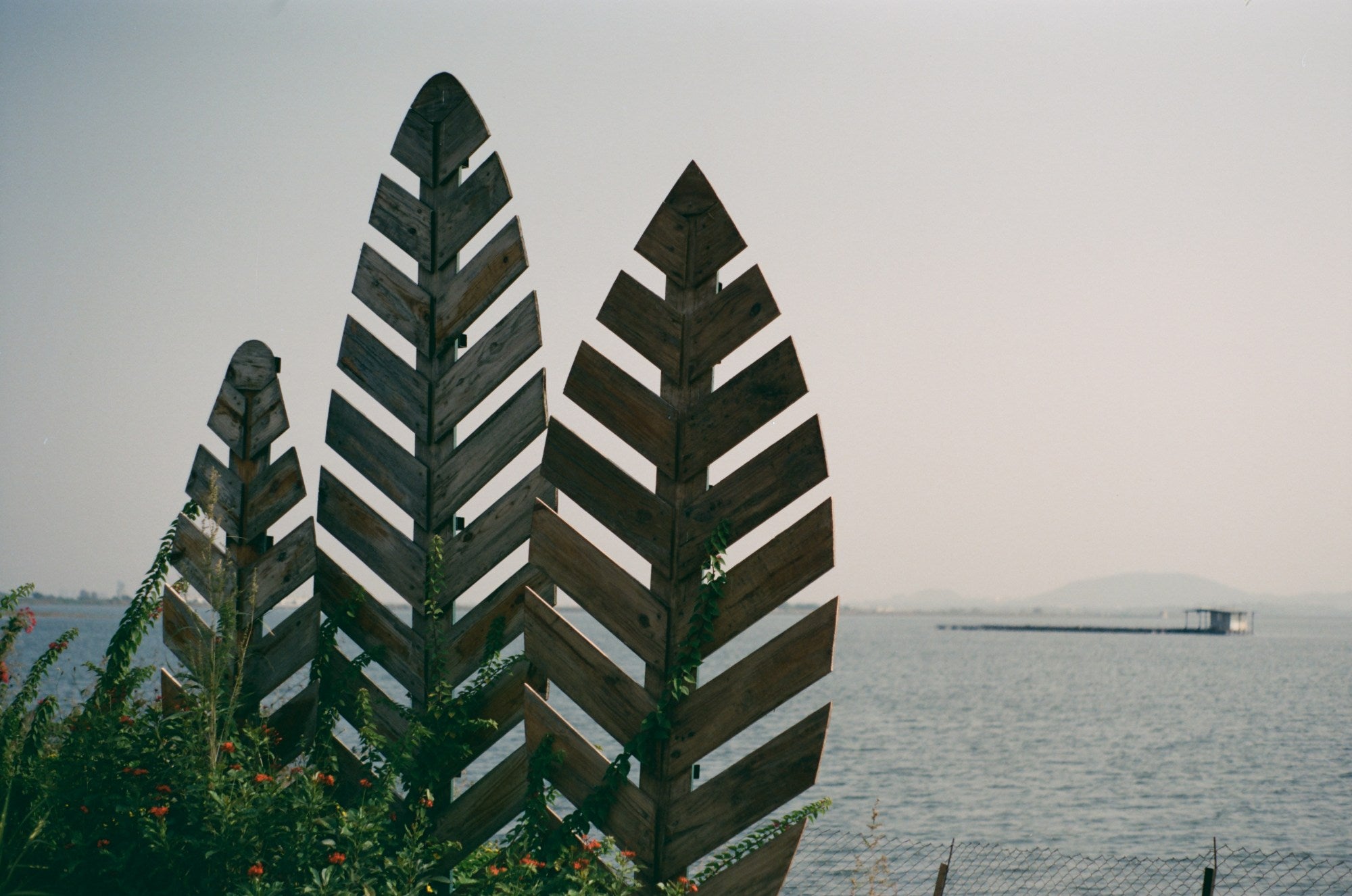 Photograph shot on TPP Vision3 - 50D