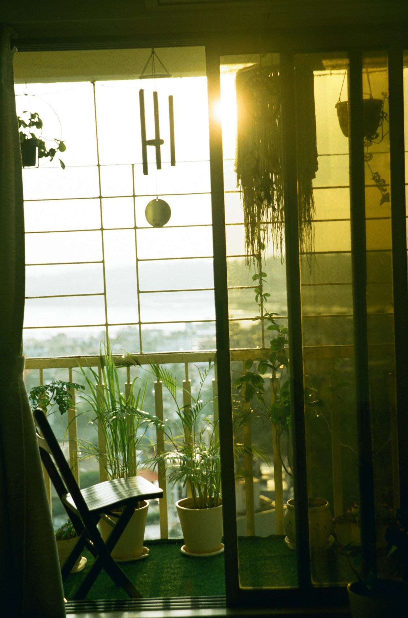 Photograph shot on TPP Vision3 - 50D