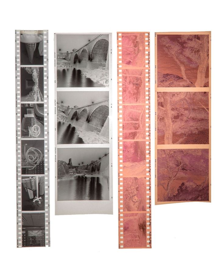 35mm and medium-format photographic negatives displayed side by side on a white background