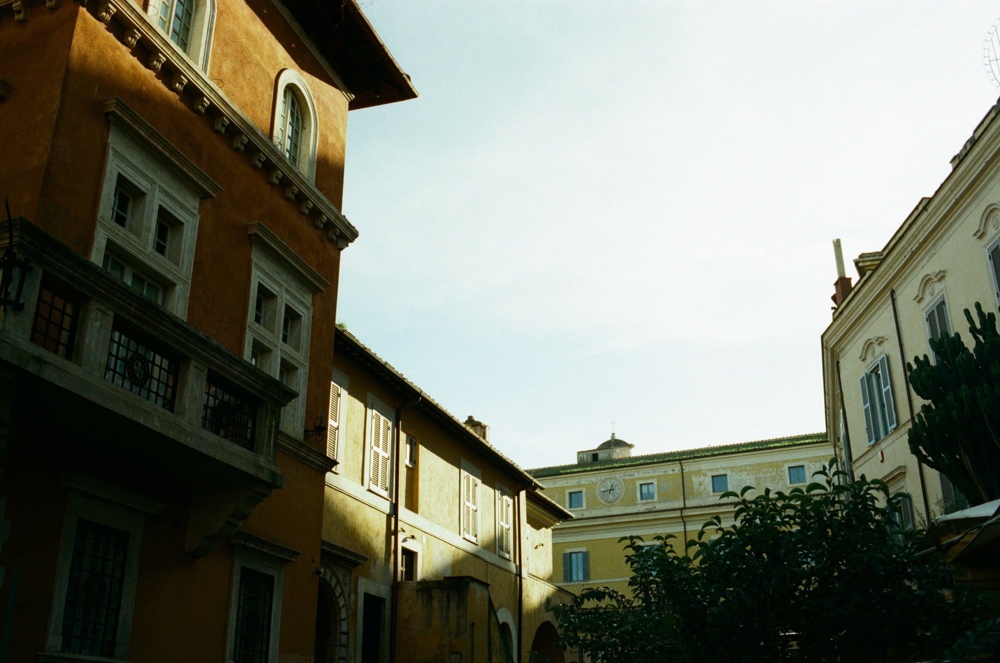 Photograph shot on TPP Vision3 - 250D (AHU)