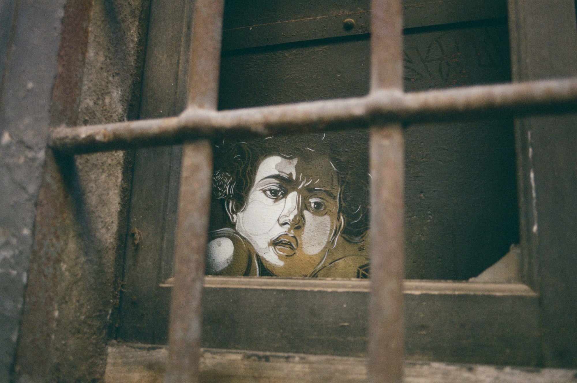Photograph shot on TPP Vision3 - 250D (AHU)